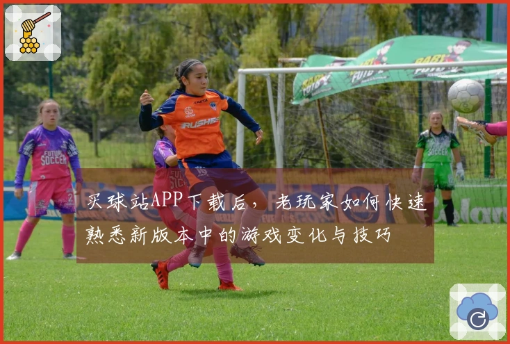 买球站APP下载后，老玩家如何快速熟悉新版本中的游戏变化与技巧